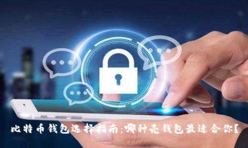 比特币钱包选择指南:哪种壳钱包最适合你?