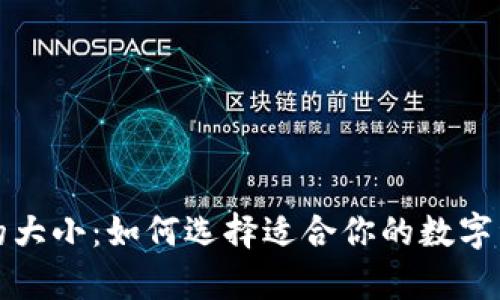 狗狗币钱包的大小:如何选择适合你的数字资产存储方案