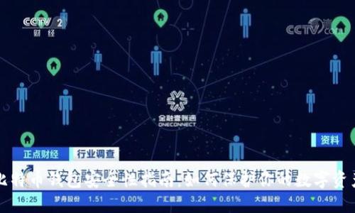 比特币钱包安全性指南:如何保护你的数字资产