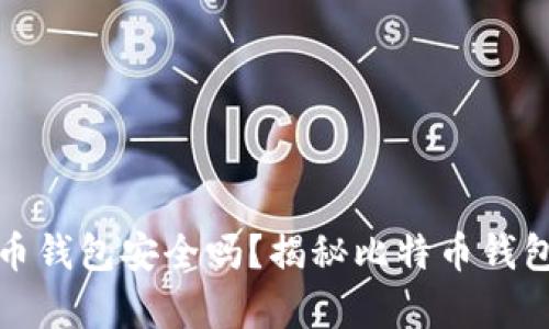 没有私钥的比特币钱包安全吗?揭秘比特币钱包的安全性与风险