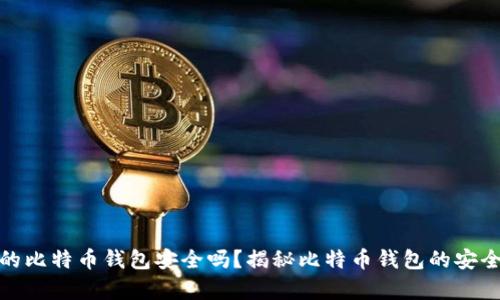 没有私钥的比特币钱包安全吗?揭秘比特币钱包的安全性与风险